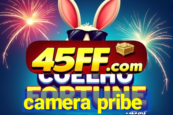 camera pribe